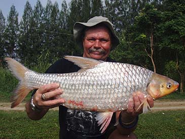 Record photograph for Cyclocheilichthys enoplos